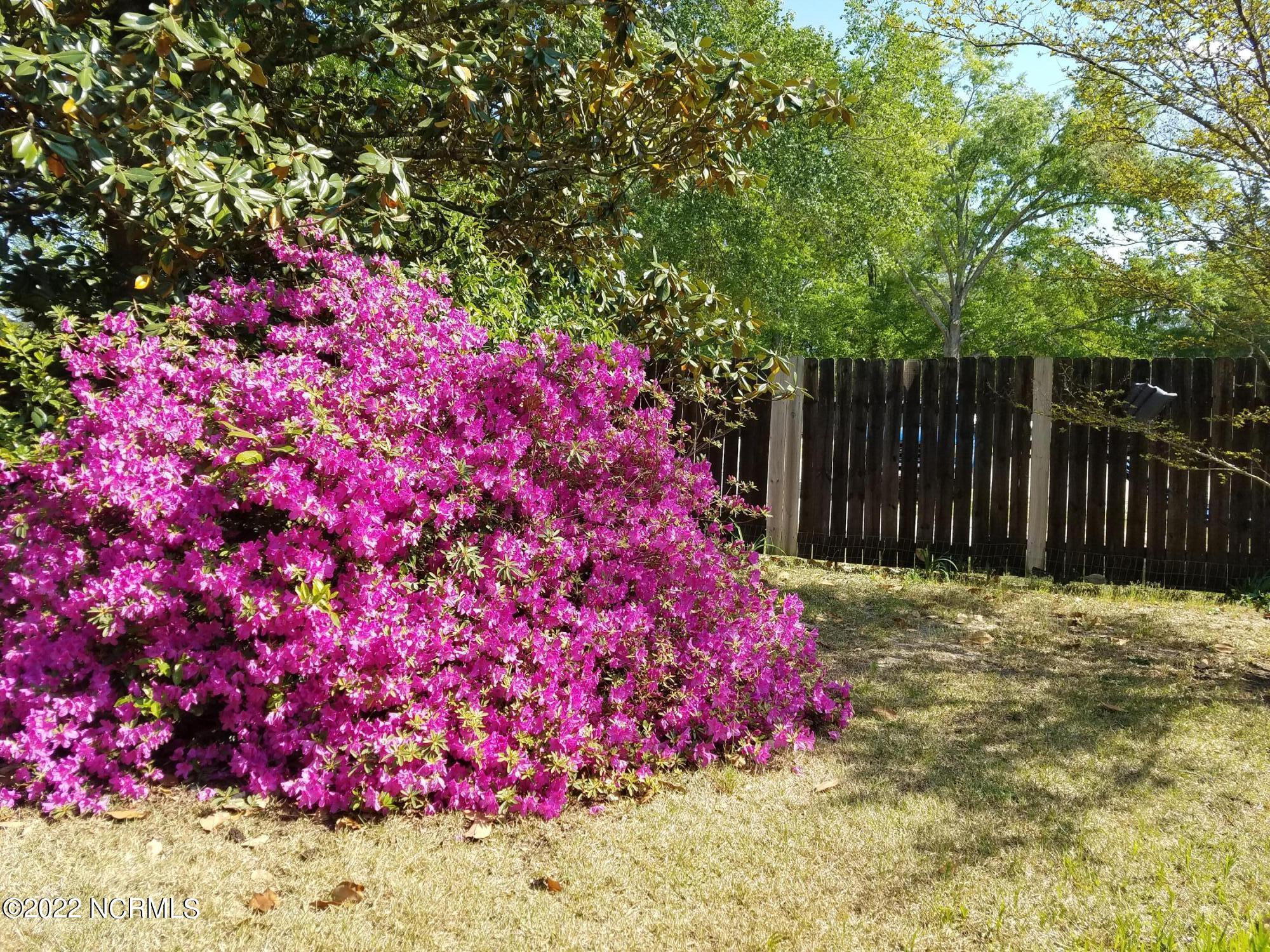 426 Elizabeth Avenue Rockingham, NC 28379 - Photo 33 of 38 20210422_162509