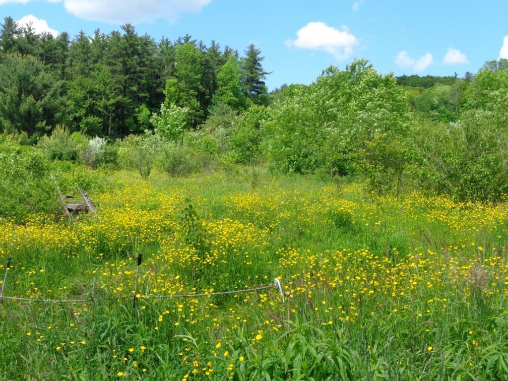 259 Hurd Road Harpursville, NY 13787 - Photo 11 of 24 Gallery Image 11