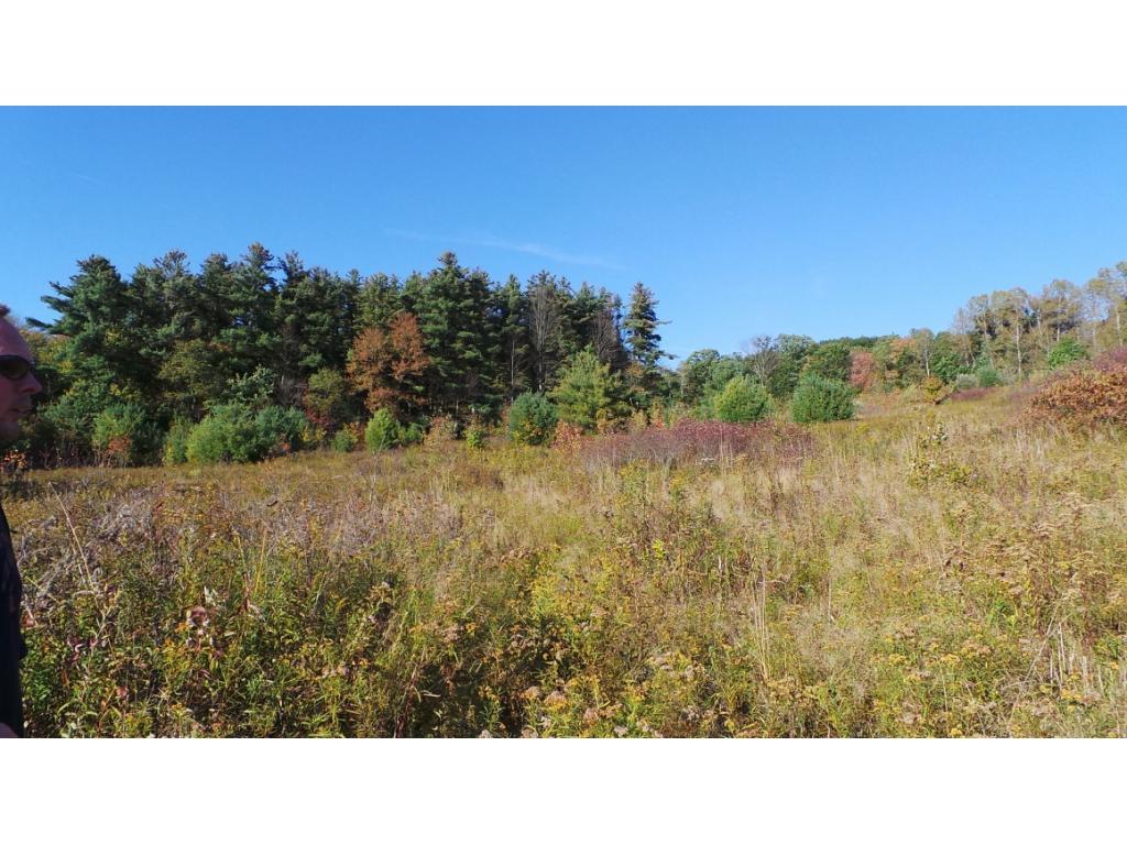 259 Hurd Road Harpursville, NY 13787 - Photo 15 of 24 Gallery Image 15