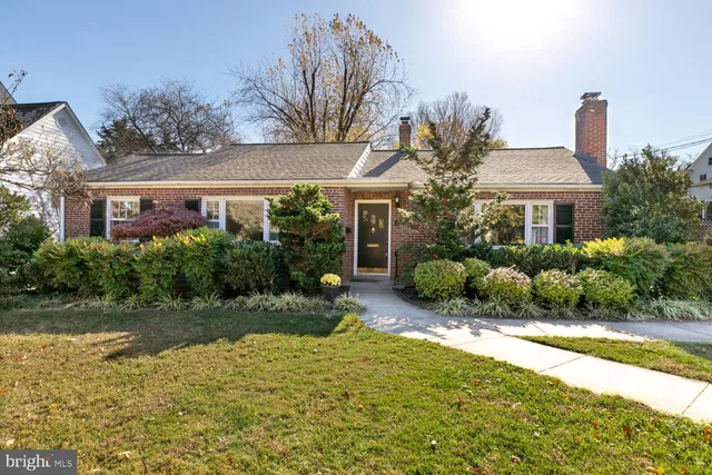 a view of a front of house with a yard and potted plants