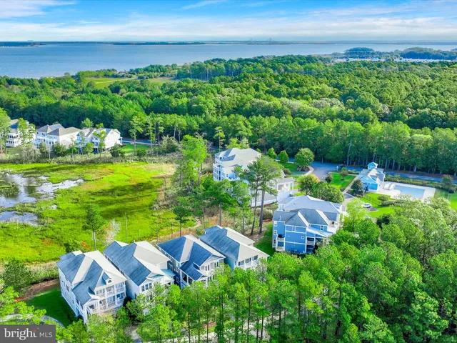 $1,350,000 | 29244 Park View Drive, Dagsboro, DE 19939