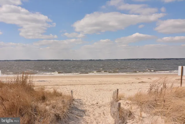 $1,350,000 | 29244 Park View Drive, Dagsboro, DE 19939