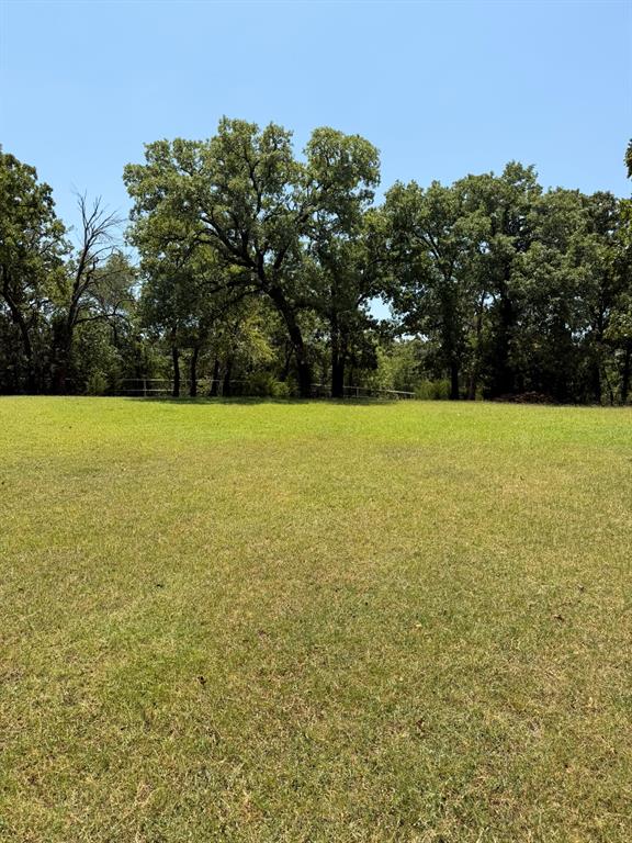 2300 Spring Mountain Road Cross Roads, TX 76227 - Photo 9 of 19 Expansive grassy area with mature trees forming a natural border