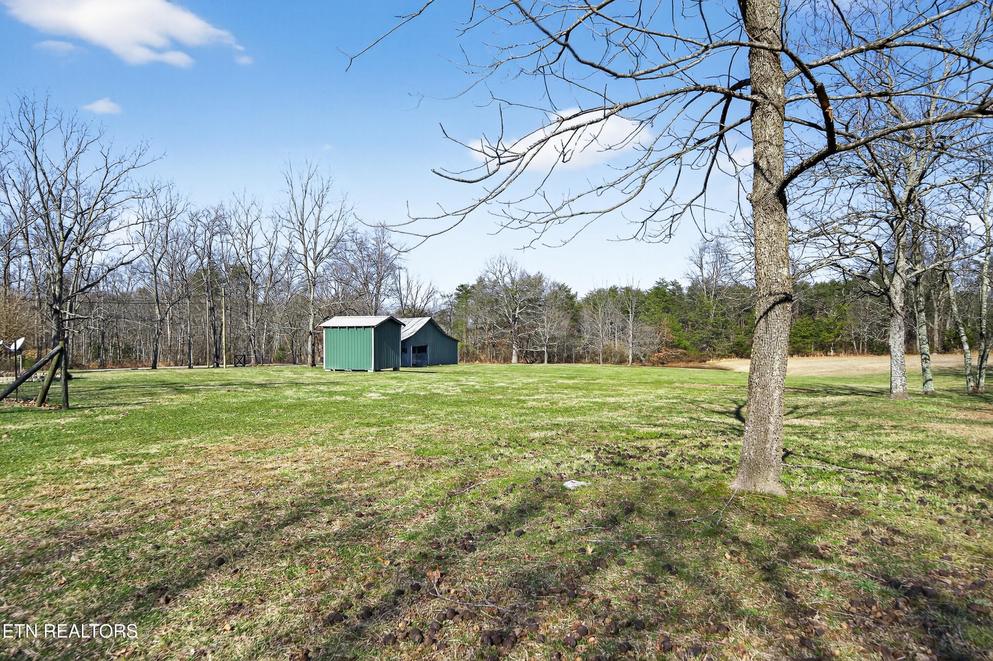 2496 Chestnut Hill Road Crossville, TN 38571 - Photo 30 of 38 a backyard of a house with lots of green space