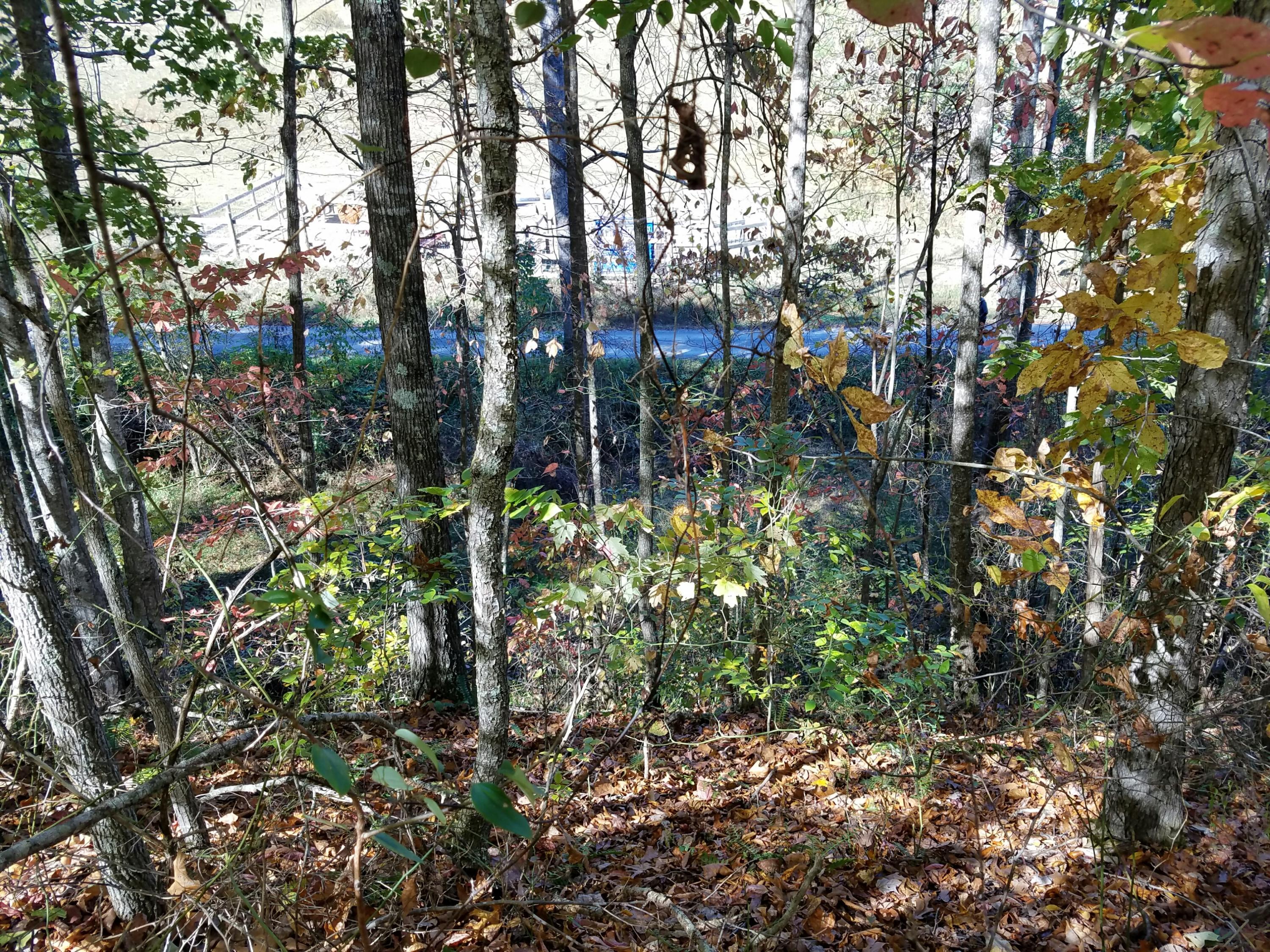 4-acres Rackum Road Thorn Hill, TN 37881 - Photo 8 of 8 Rackum8