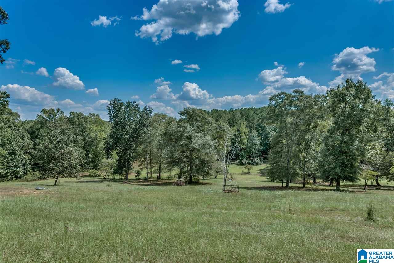 184 Jenkins Farm Road Helena, AL 35080 - Photo 21 of 25