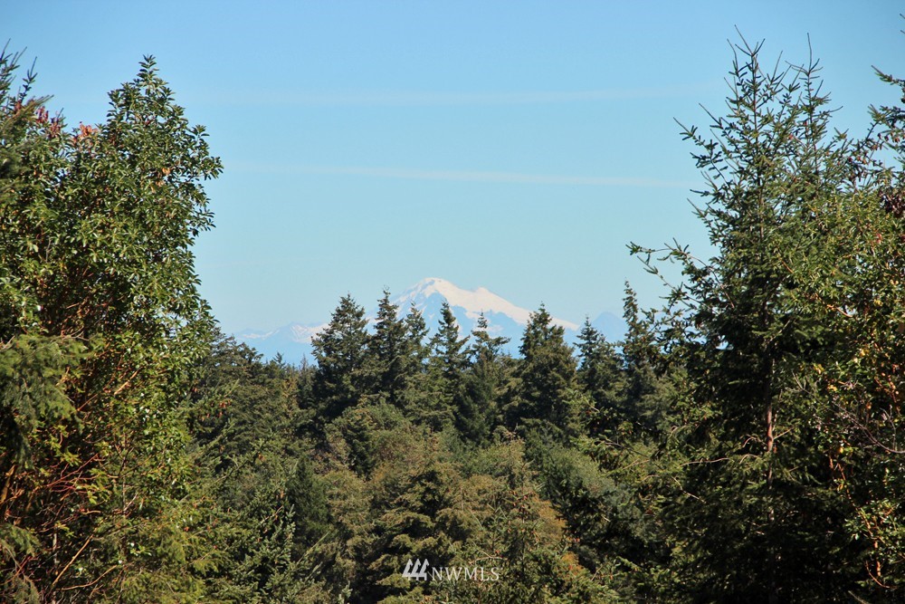 114 Ridgedale Road San Juan Island, WA 98250 - Photo 2 of 25 Gallery Image 2