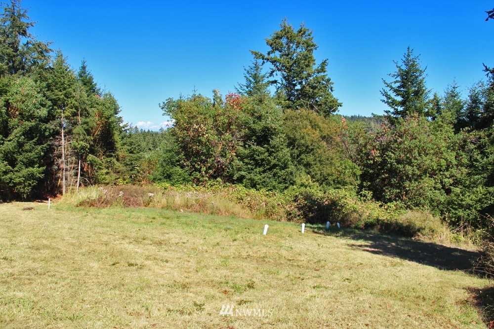 114 Ridgedale Road San Juan Island, WA 98250 - Photo 22 of 25 Gallery Image 22