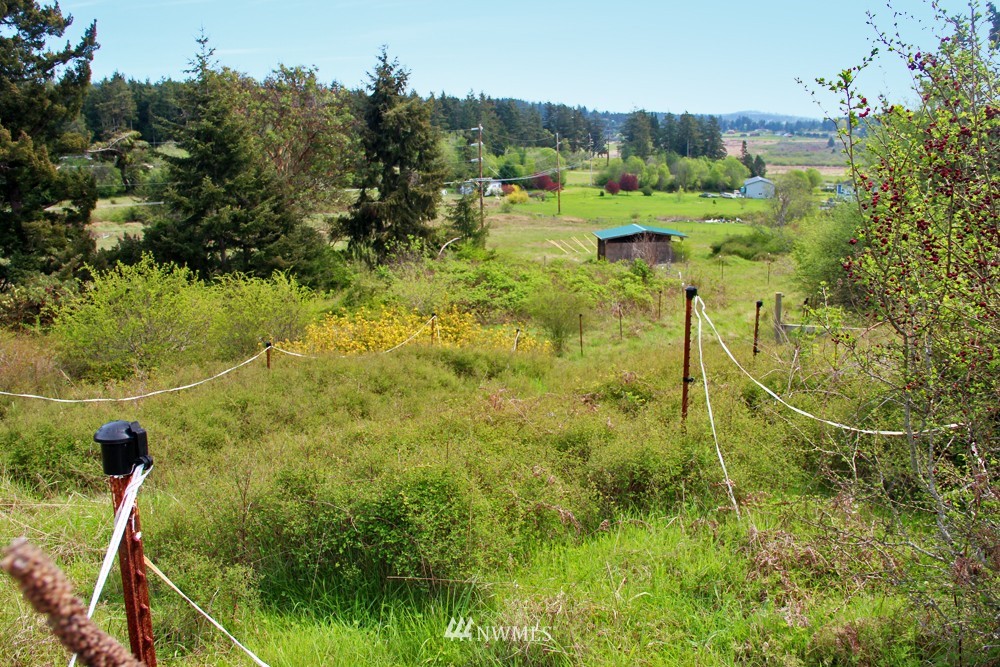 114 Ridgedale Road San Juan Island, WA 98250 - Photo 23 of 25 Gallery Image 23