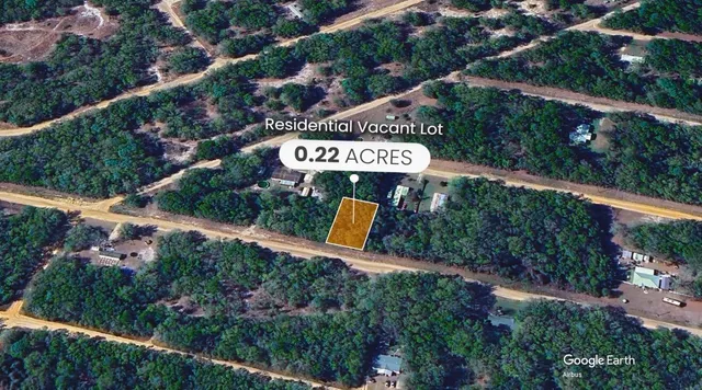 a view of a park with plants and large trees