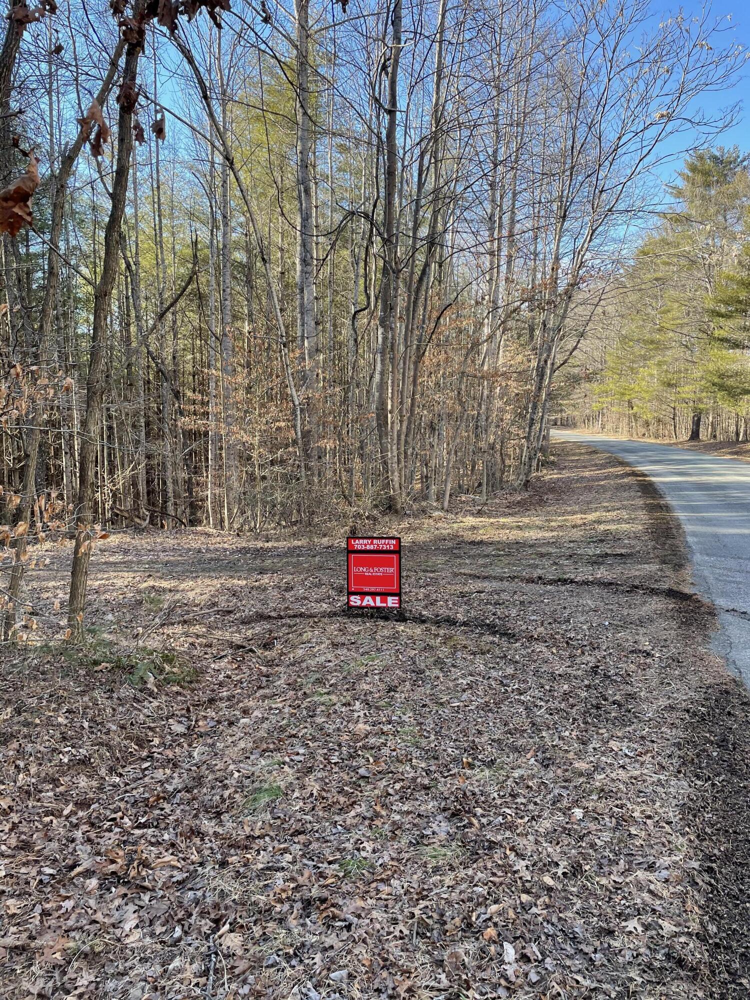 0 Old Henry Road Henry, VA 24102 - Photo 3 of 43 Entrance