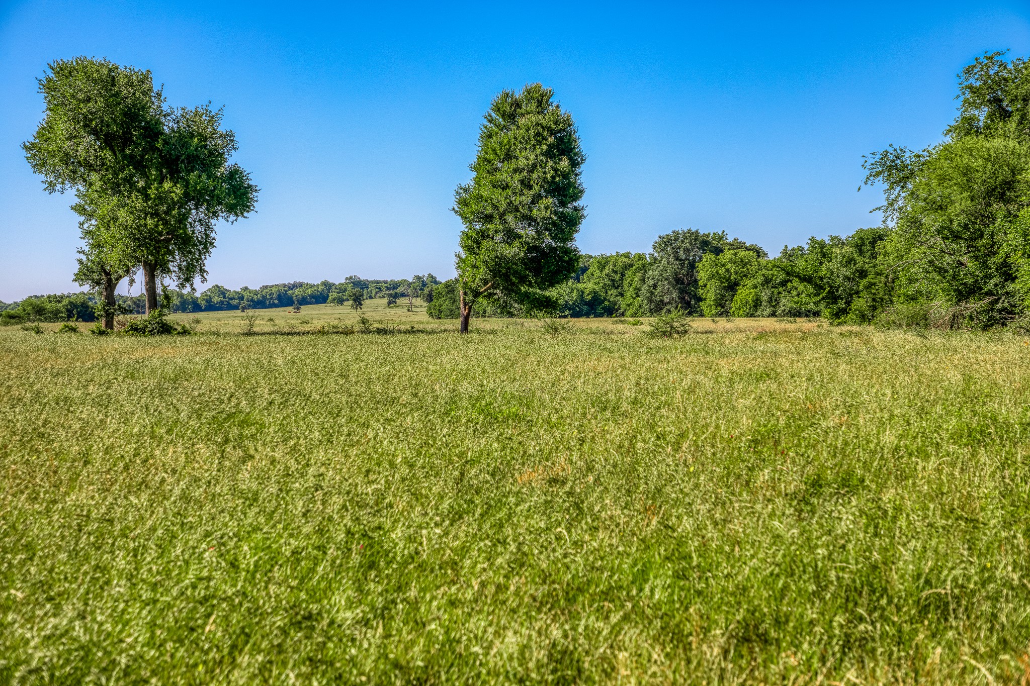 0 Flat Prairie Road Washington, TX 77880 - Photo 13 of 19