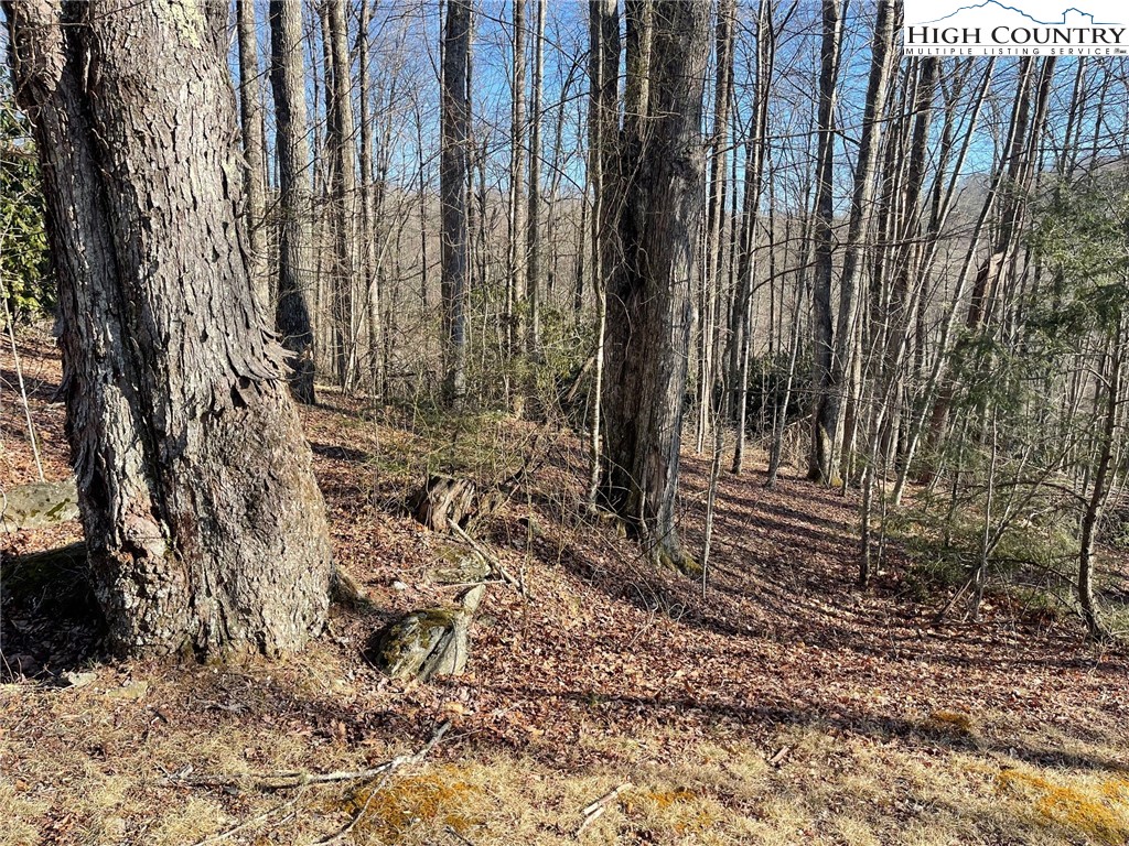 19 Jackson Ridge Road Boone, NC 28607 - Photo 3 of 7 a view of a backyard with pathway