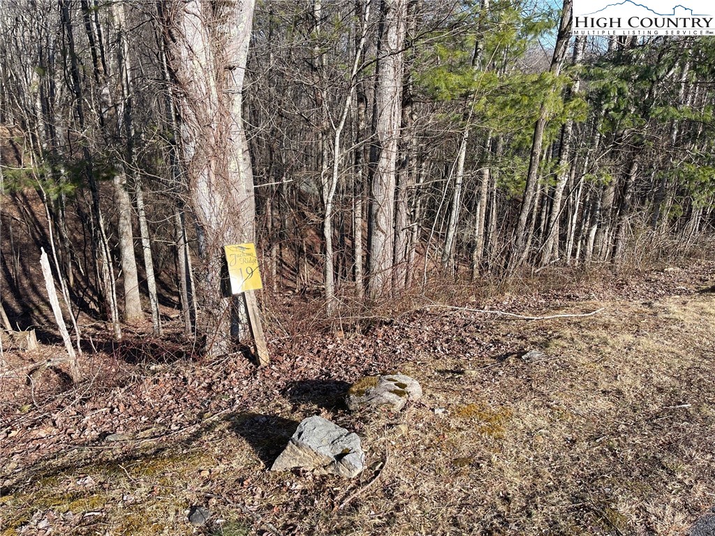 19 Jackson Ridge Road Boone, NC 28607 - Photo 4 of 7 a view of a backyard of the house