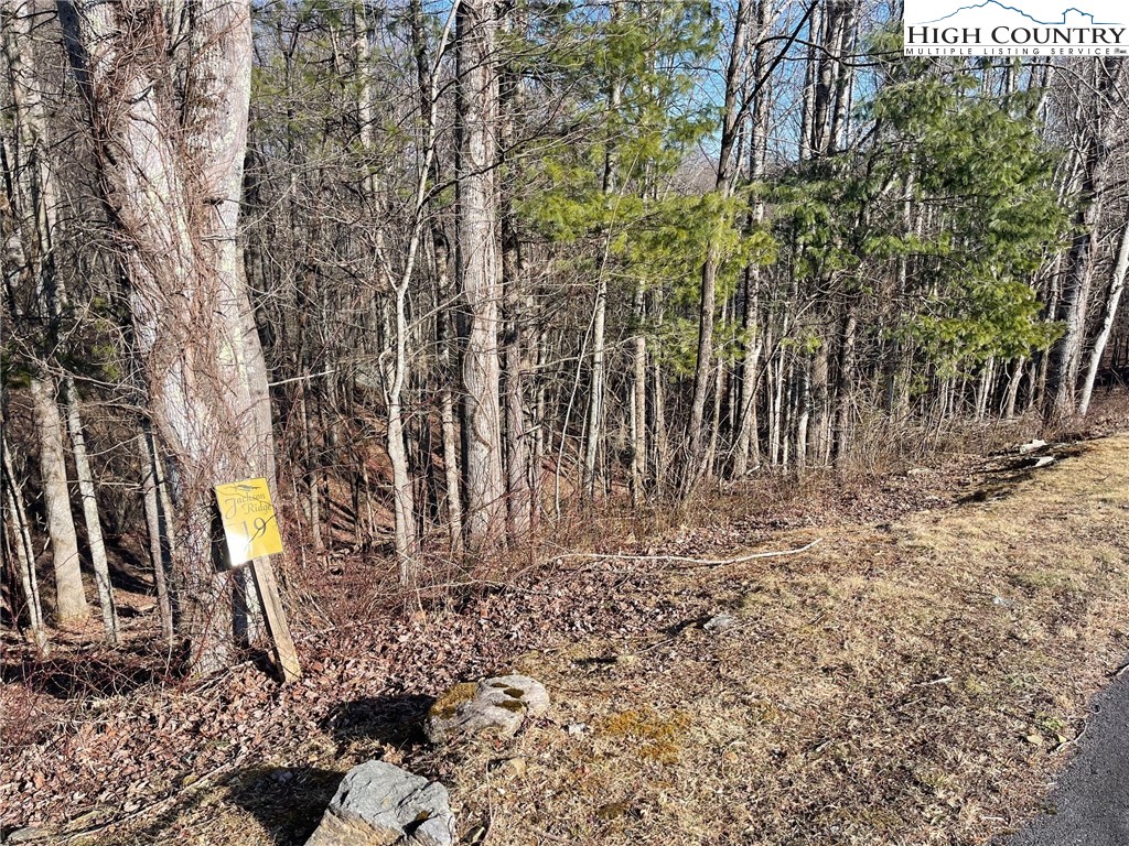 19 Jackson Ridge Road Boone, NC 28607 - Photo 5 of 7 a view of a yard with wooden fence