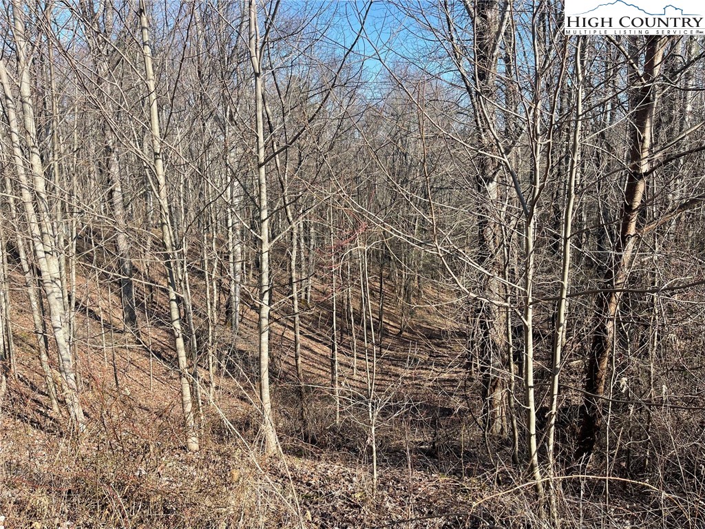 19 Jackson Ridge Road Boone, NC 28607 - Photo 6 of 7 a view of a pathway