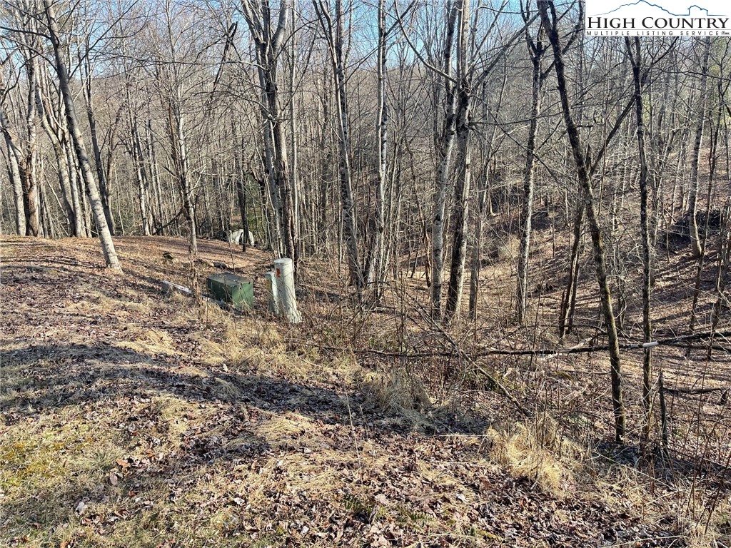 19 Jackson Ridge Road Boone, NC 28607 - Photo 7 of 7 a backyard of a house with lots of green space