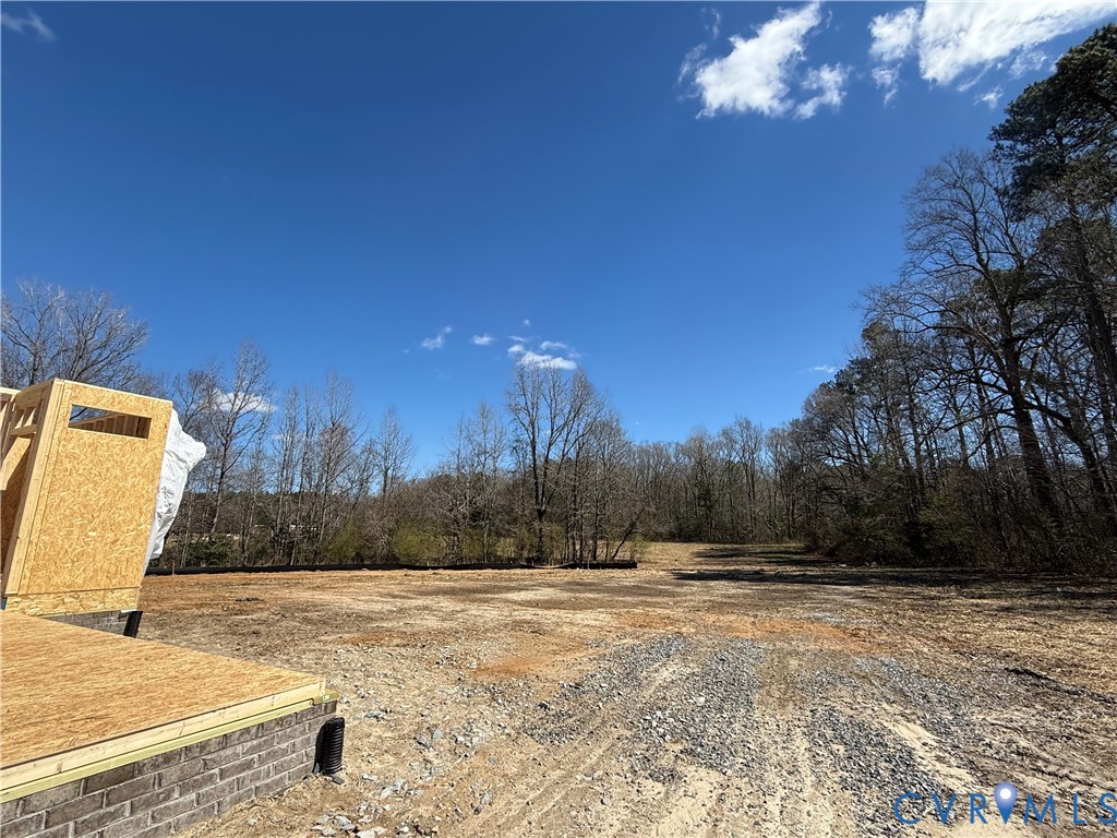 16751 Loving Union Road Disputanta, VA 23842 - Photo 11 of 12 a view of a yard with a house