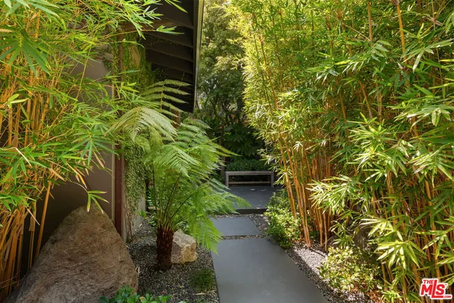 a backyard of a house with plants and garden