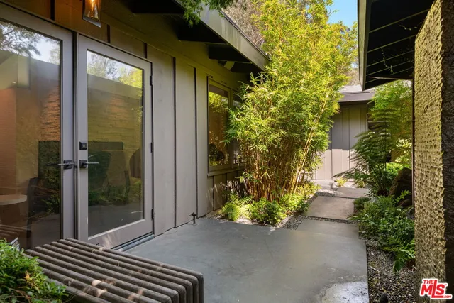 a view of a street with a tree