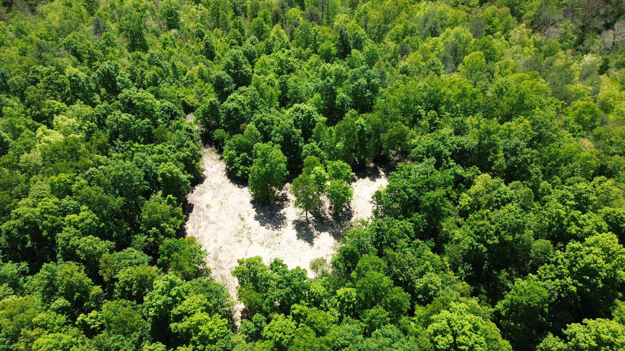 700 Clay Camp Road Hitchins, KY 41146 - Photo 91 of 108 20