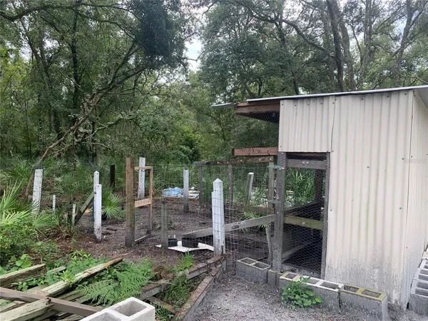 a view of a backyard with plants and large trees