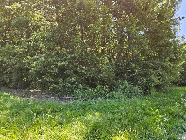 $17,400 | 0 State Route 51 Route, Pulaski, IL 62976