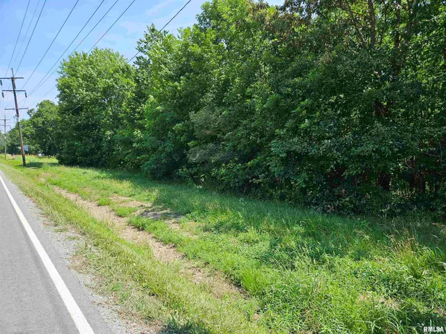 $17,400 | 0 State Route 51 Route, Pulaski, IL 62976