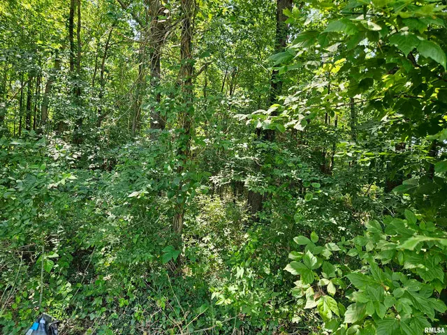 $17,400 | 0 State Route 51 Route, Pulaski, IL 62976