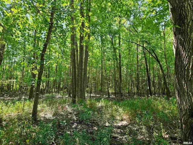 $17,400 | 0 State Route 51 Route, Pulaski, IL 62976