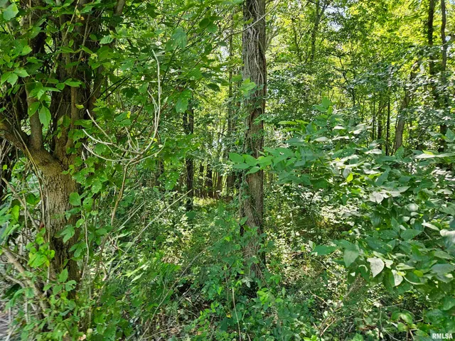 $17,400 | 0 State Route 51 Route, Pulaski, IL 62976