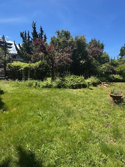 27240 Altamont Road Los Altos Hills, CA 94022 - Photo 11 of 12