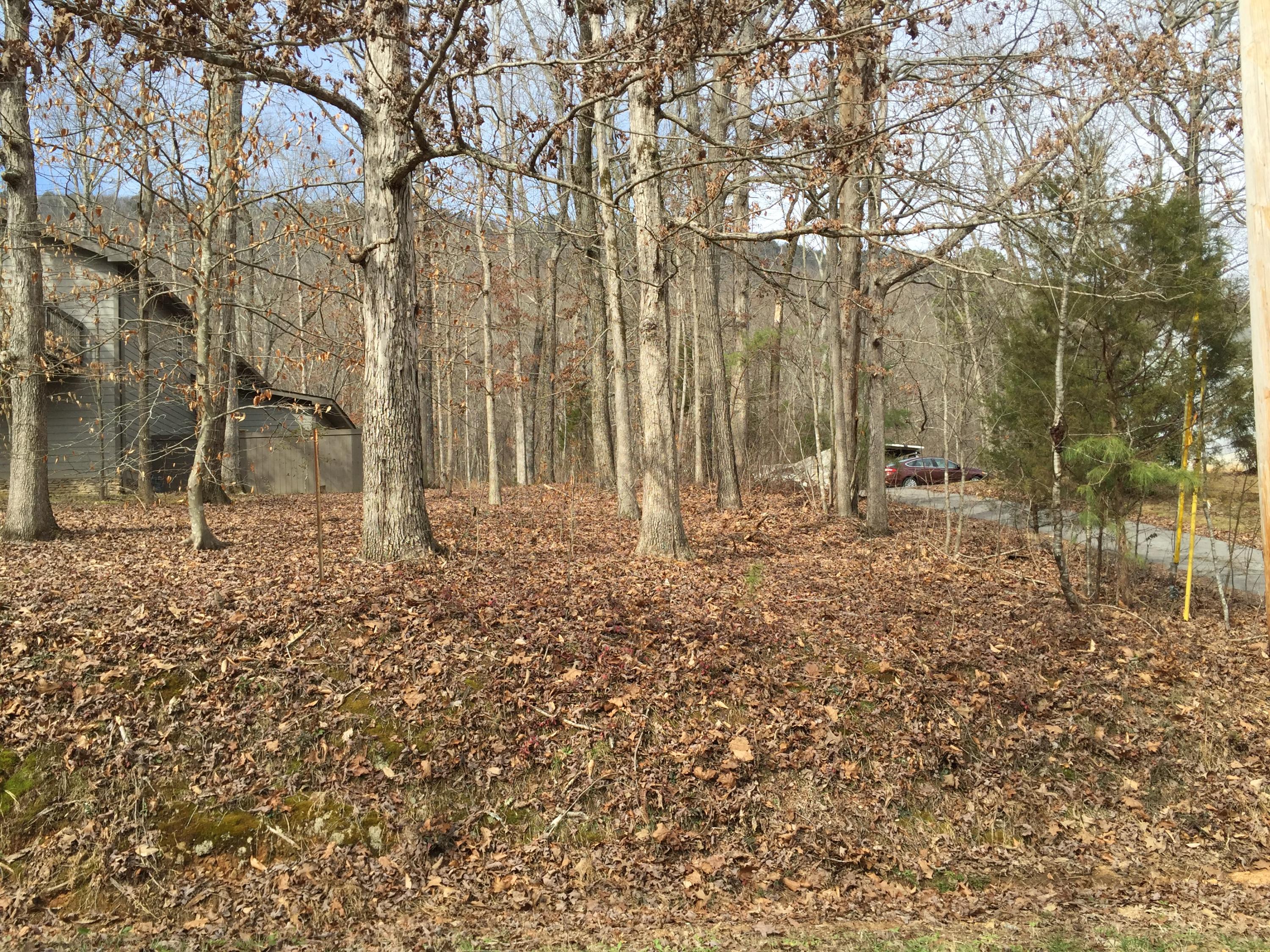 7927 Selcer Road, Unit 1 Hixson, TN 37343 - Photo 1 of 28 IMG_0212