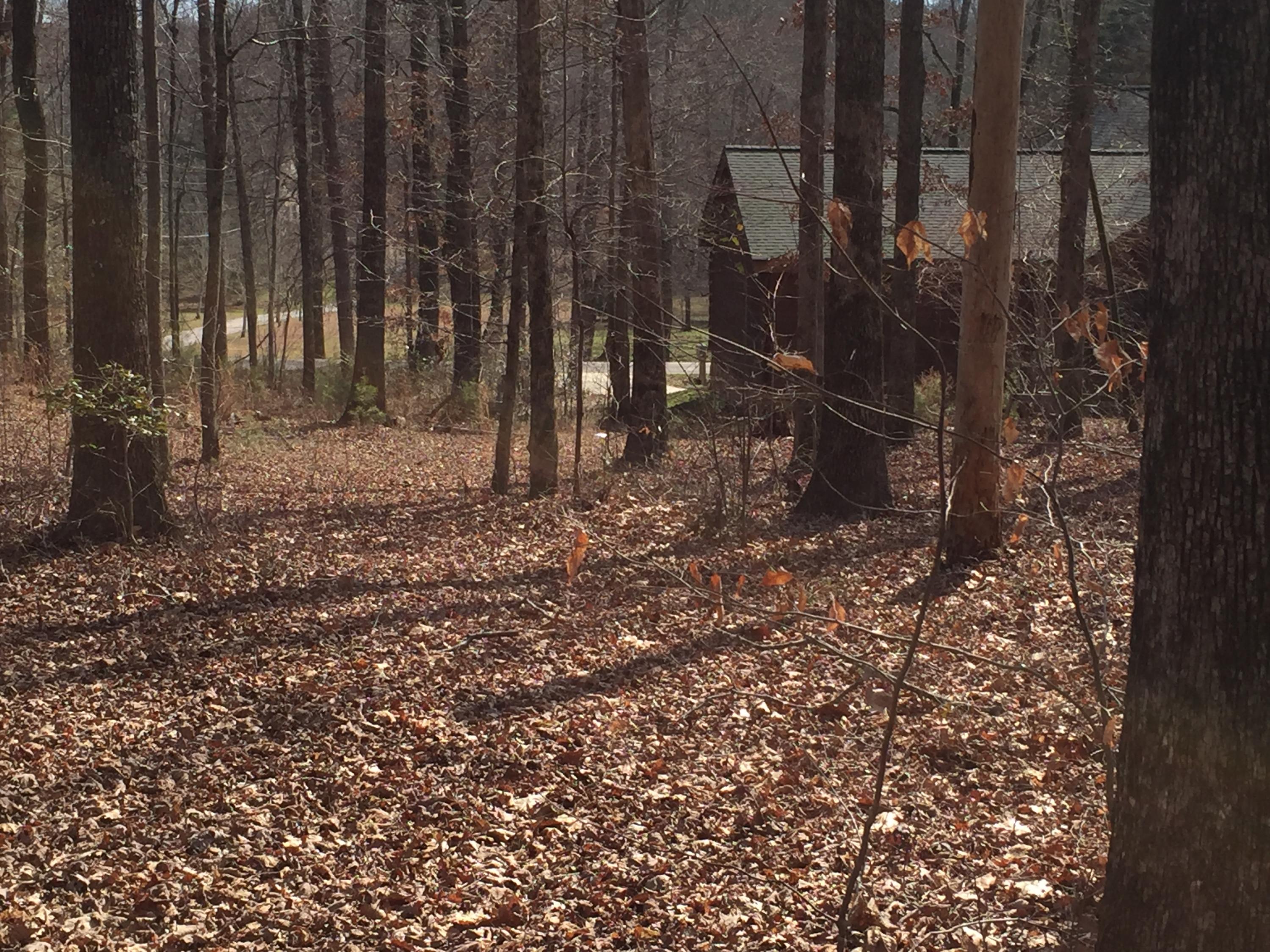 7927 Selcer Road, Unit 1 Hixson, TN 37343 - Photo 13 of 28 IMG_0186