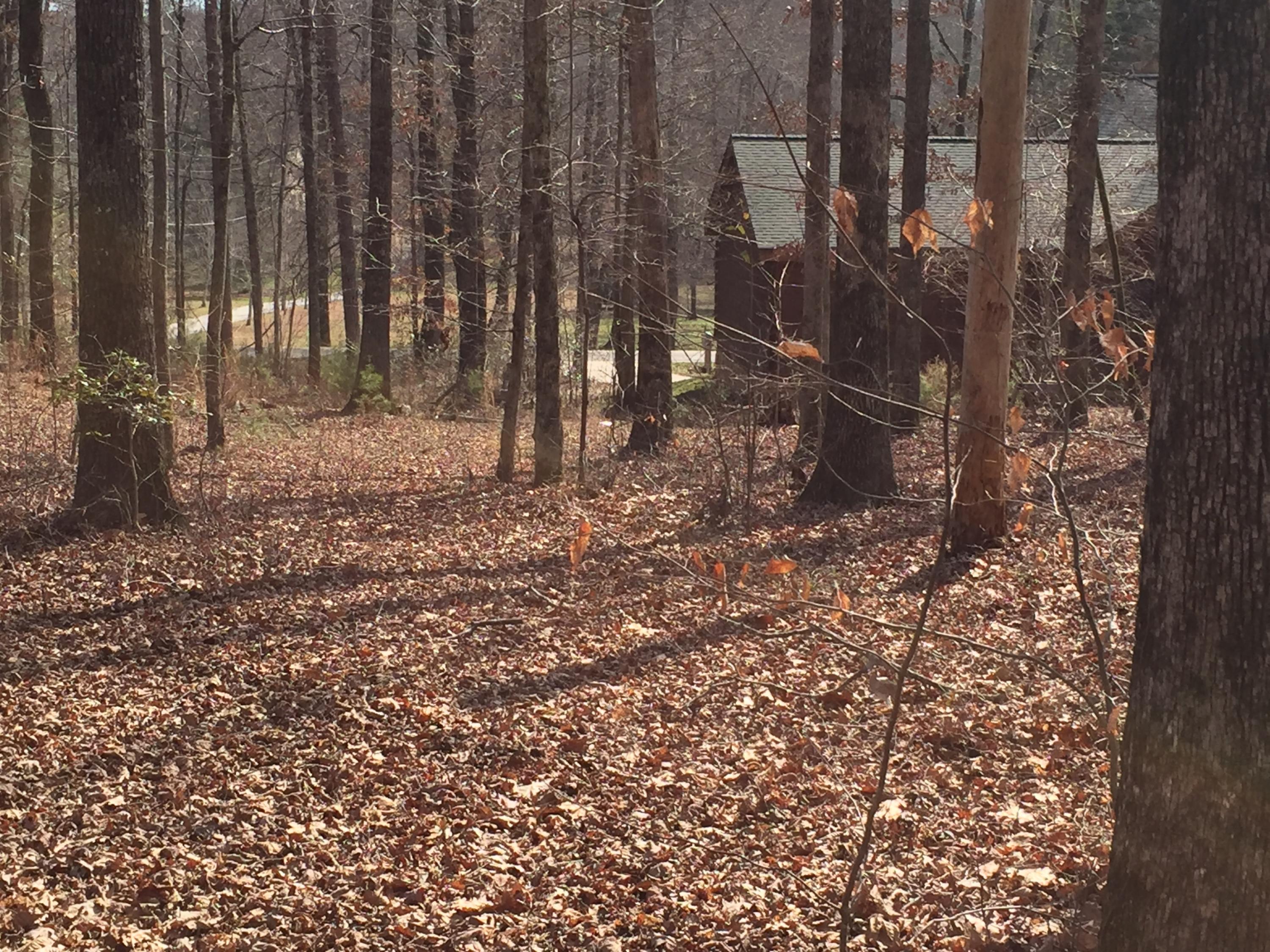 7927 Selcer Road, Unit 1 Hixson, TN 37343 - Photo 14 of 28 IMG_0187