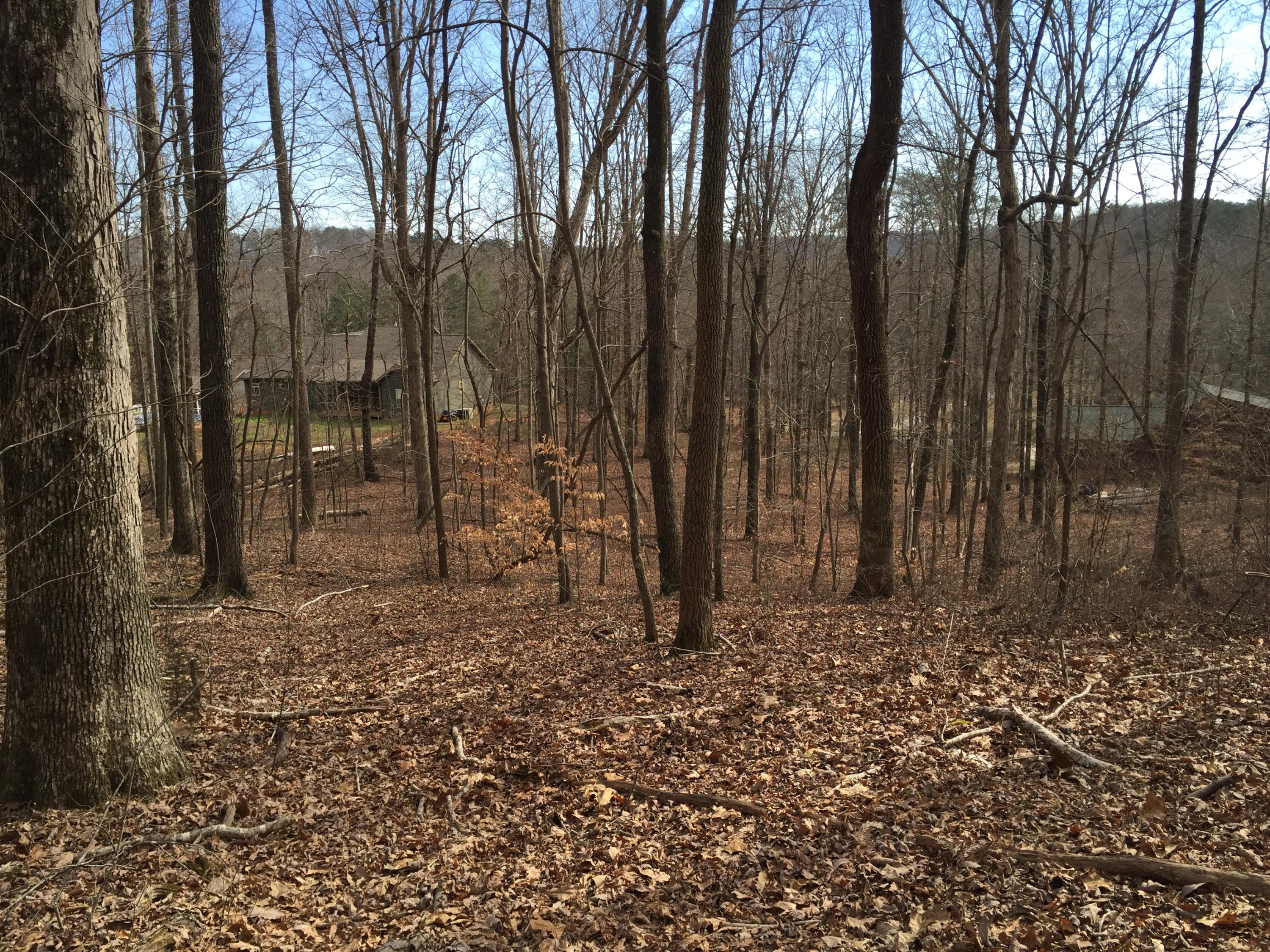 7927 Selcer Road, Unit 1 Hixson, TN 37343 - Photo 16 of 28 IMG_0189