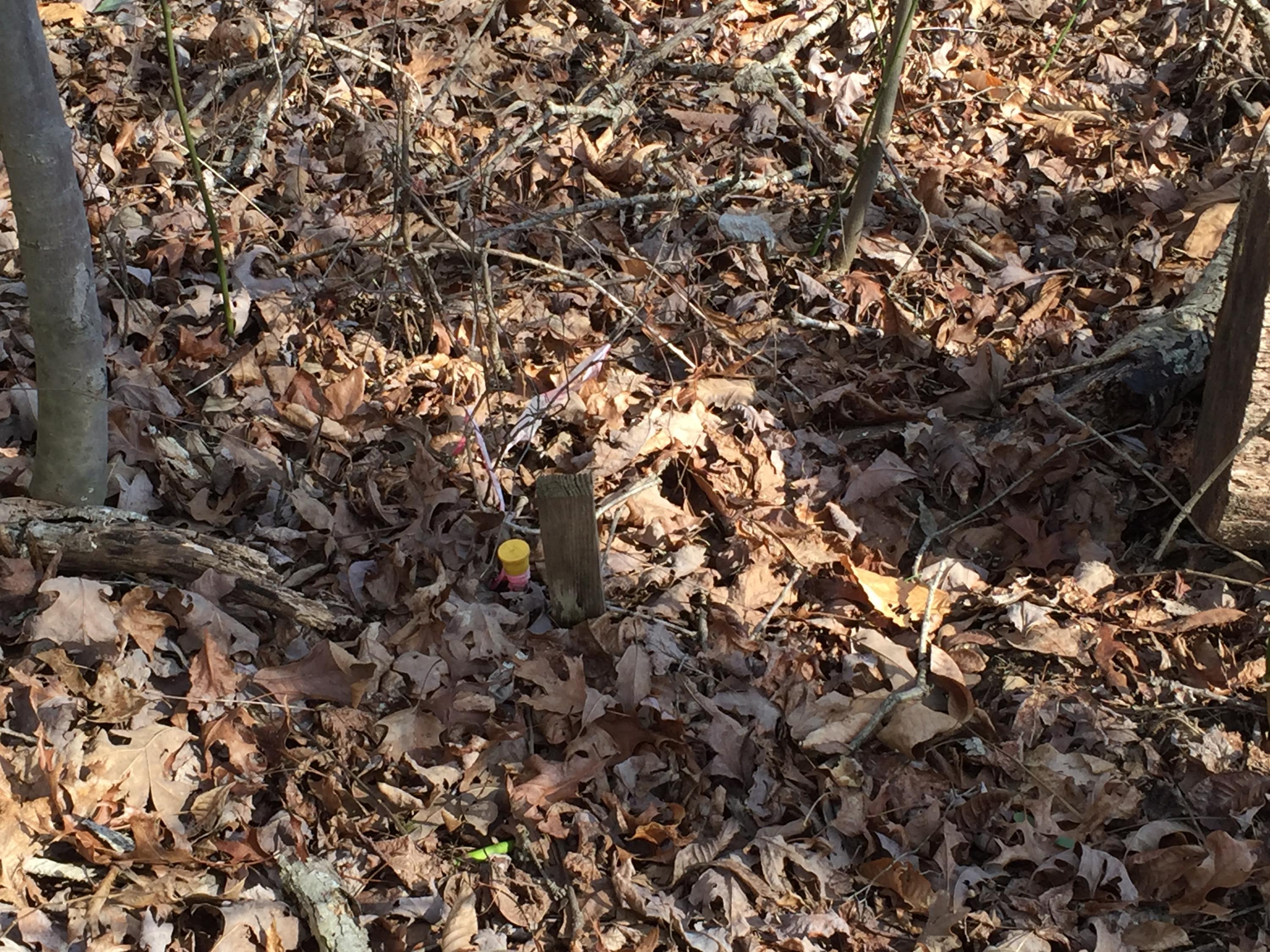 7927 Selcer Road, Unit 1 Hixson, TN 37343 - Photo 7 of 28 IMG_0178