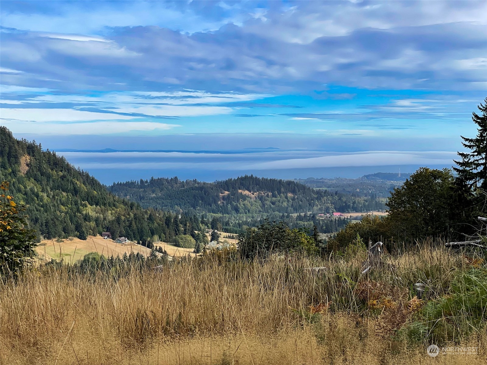 2899-3 Dan Kelly Road Port Angeles, WA 98363 - Photo 1 of 18 a view of lake with mountain