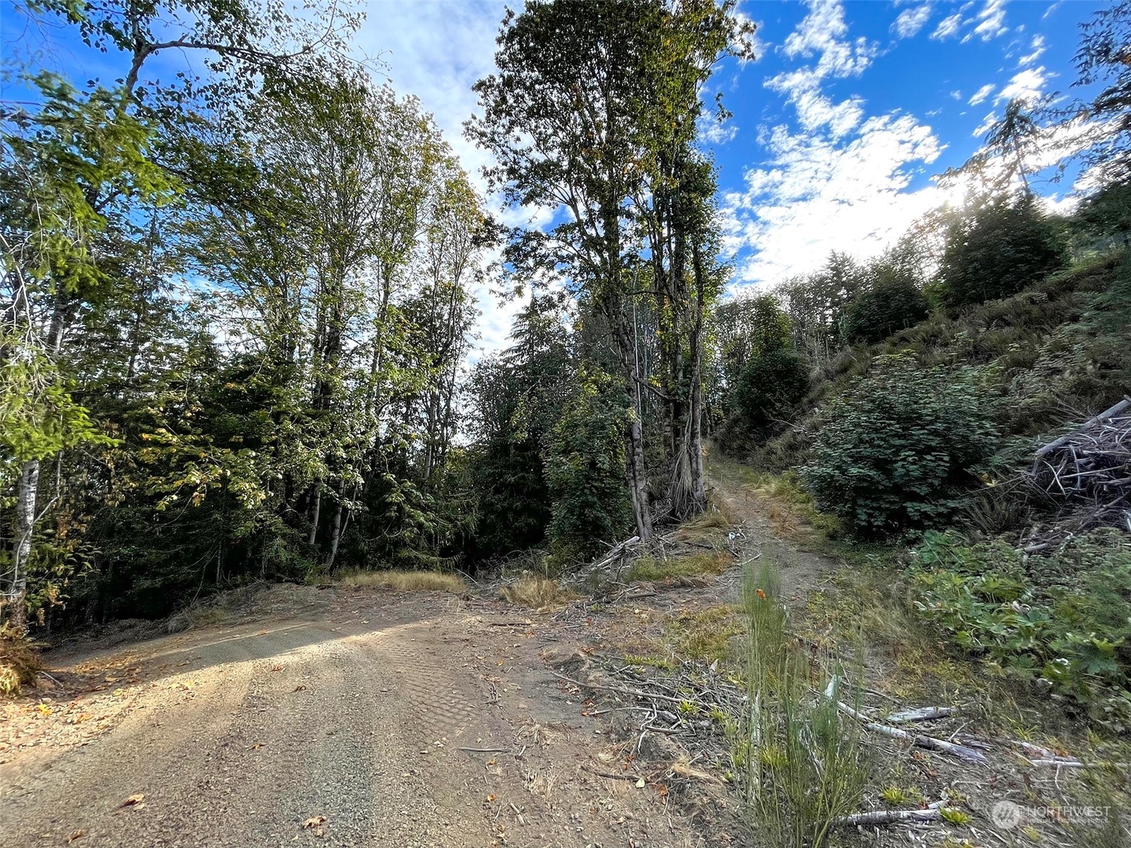 2899-3 Dan Kelly Road Port Angeles, WA 98363 - Photo 13 of 18 a view of outdoor space and trees