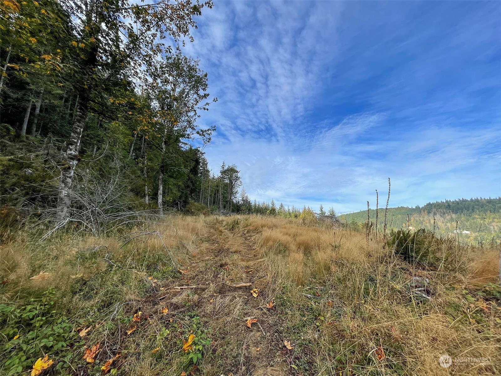 2899-3 Dan Kelly Road Port Angeles, WA 98363 - Photo 18 of 18 a view of a lake with a mountain in the background