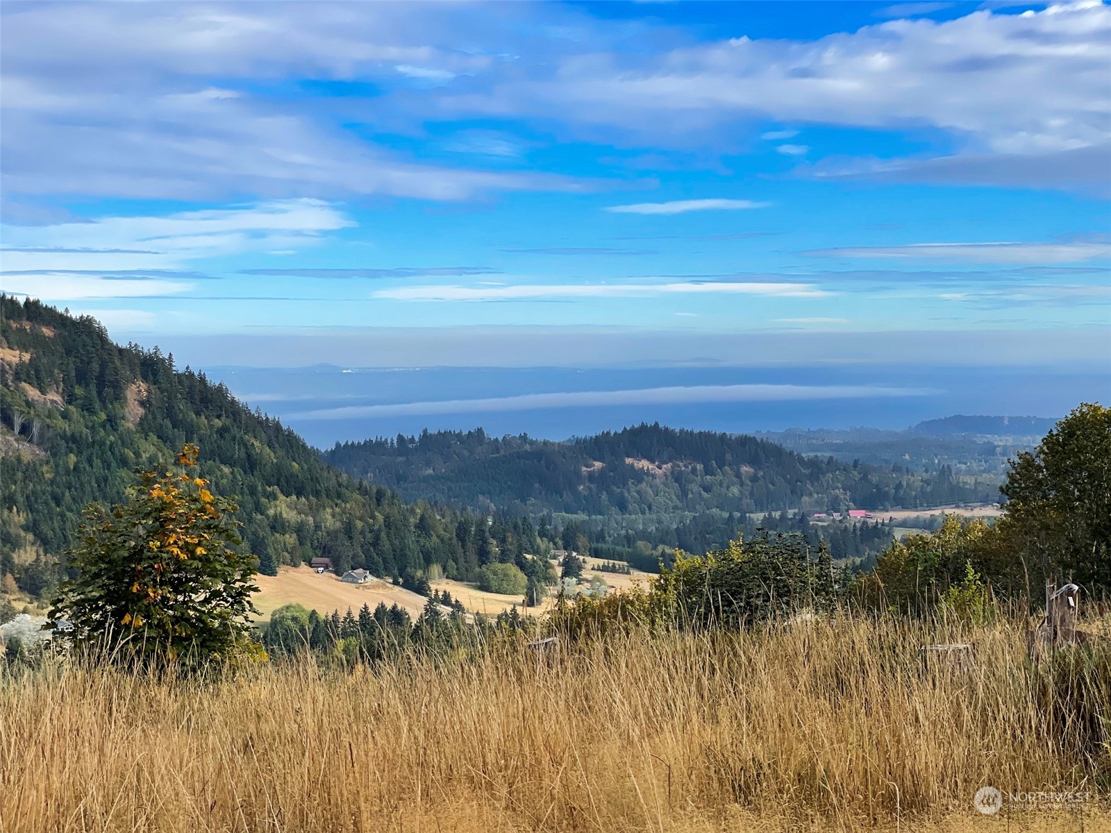 2899-3 Dan Kelly Road Port Angeles, WA 98363 - Photo 3 of 18