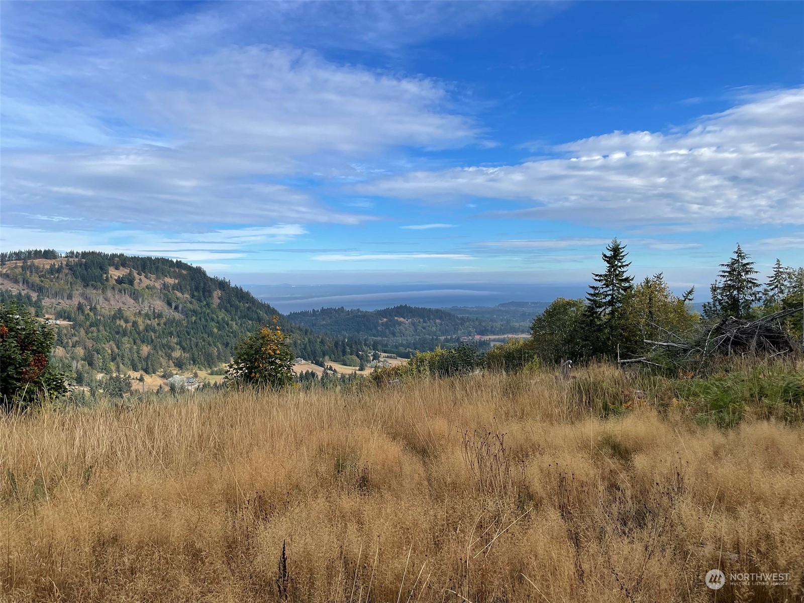 2899-3 Dan Kelly Road Port Angeles, WA 98363 - Photo 4 of 18 a view of a lake with a city