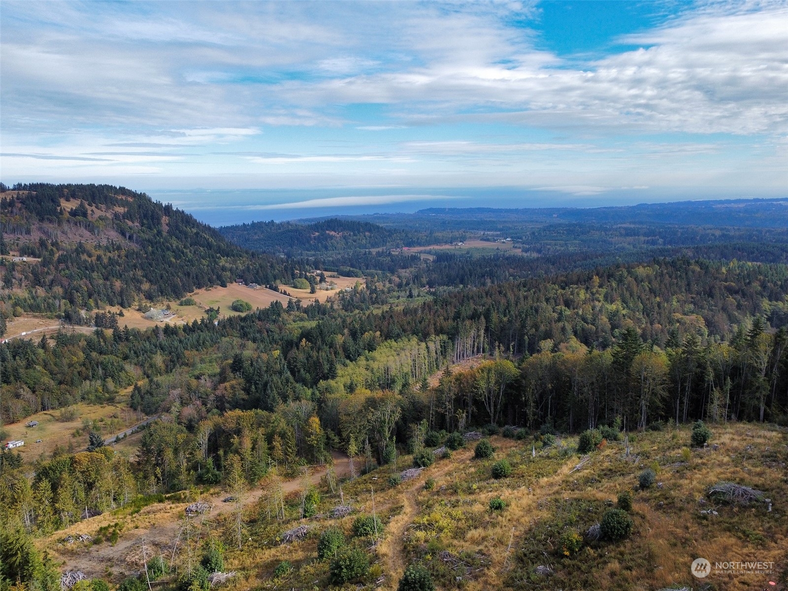 2899-3 Dan Kelly Road Port Angeles, WA 98363 - Photo 5 of 18 a view of a yard with mountain view