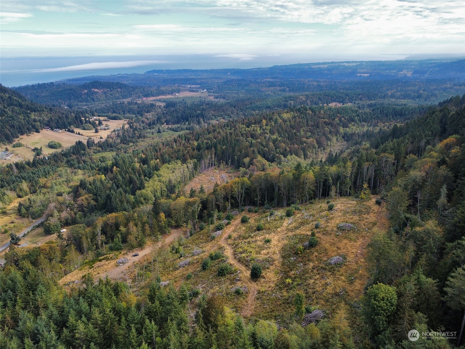 2899-3 Dan Kelly Road Port Angeles, WA 98363 - Photo 6 of 18 a view of a sky from a yard