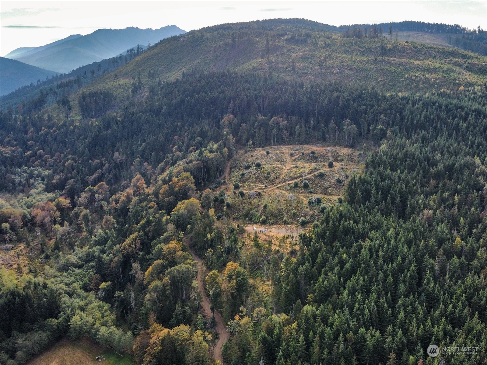 2899-3 Dan Kelly Road Port Angeles, WA 98363 - Photo 8 of 18 a view of a dry yard