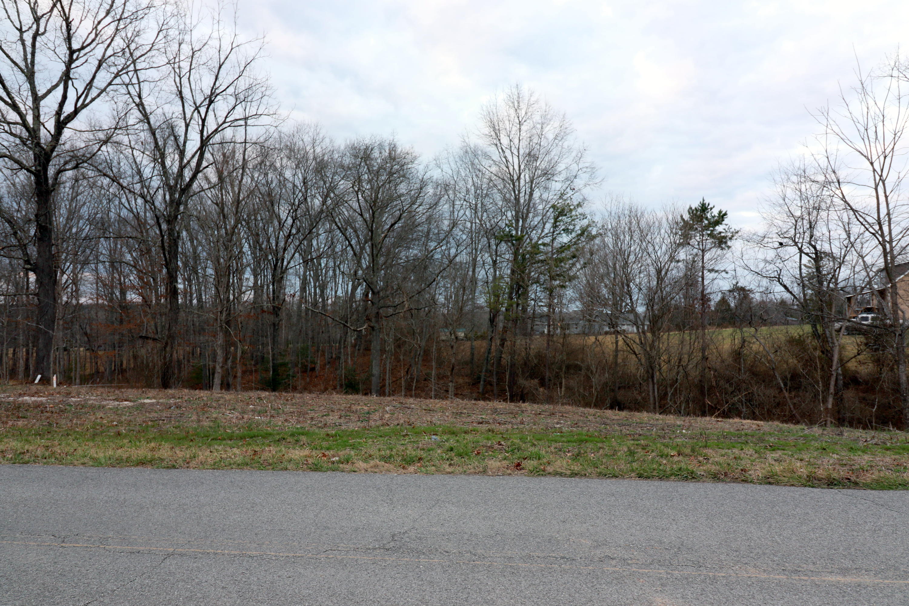 230 Big Spring Road Oneida, TN 37841 - Photo 1 of 6 5-094A4232