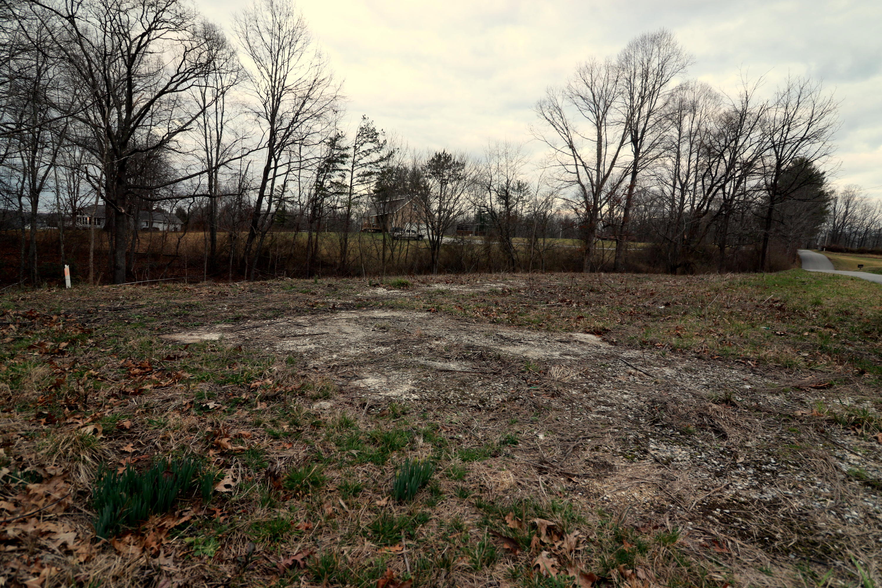 230 Big Spring Road Oneida, TN 37841 - Photo 3 of 6 1-094A4228