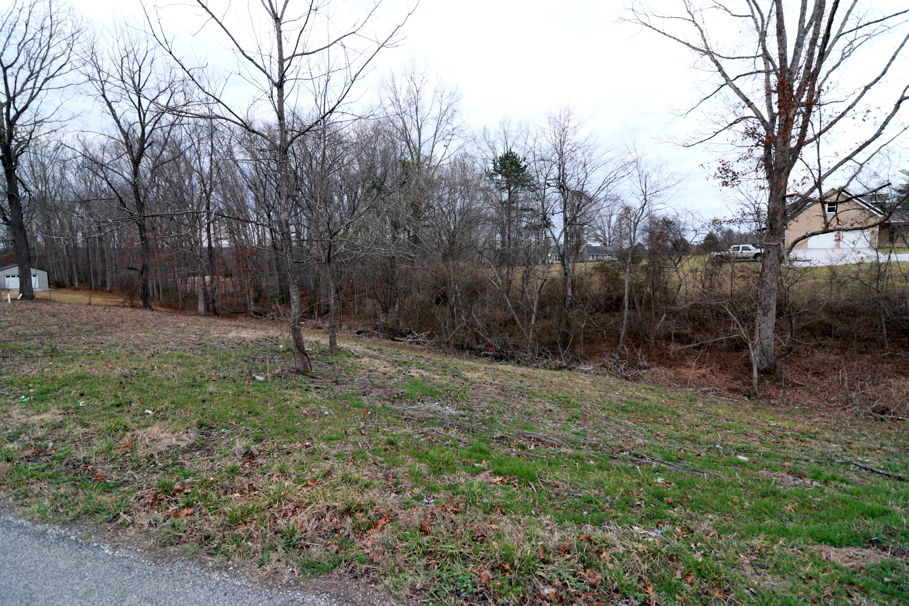 230 Big Spring Road Oneida, TN 37841 - Photo 5 of 6 4-094A4231