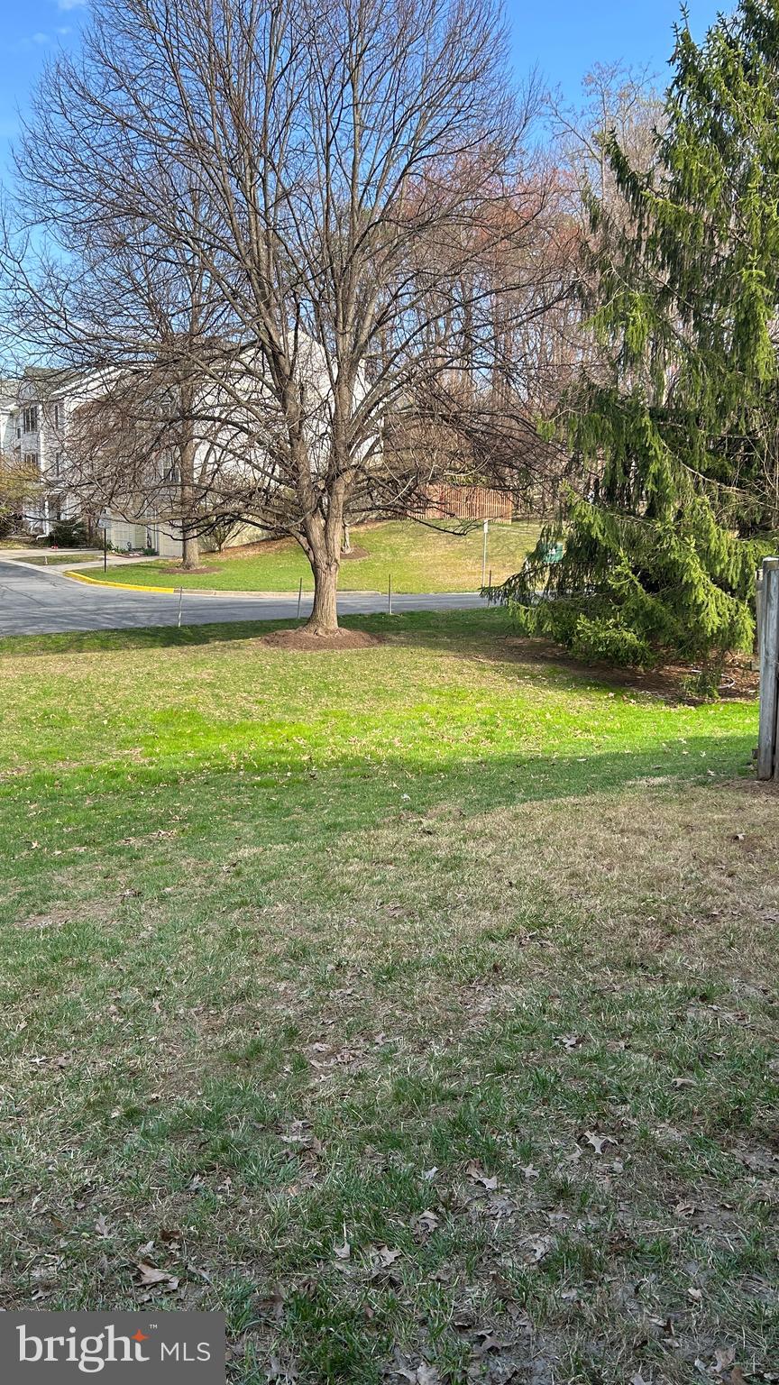 17 Habersham Court Silver Spring, MD 20906 - Photo 6 of 20