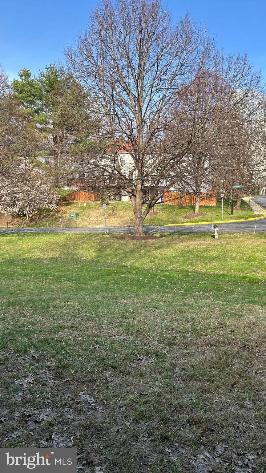 17 Habersham Court Silver Spring, MD 20906 - Photo 7 of 20